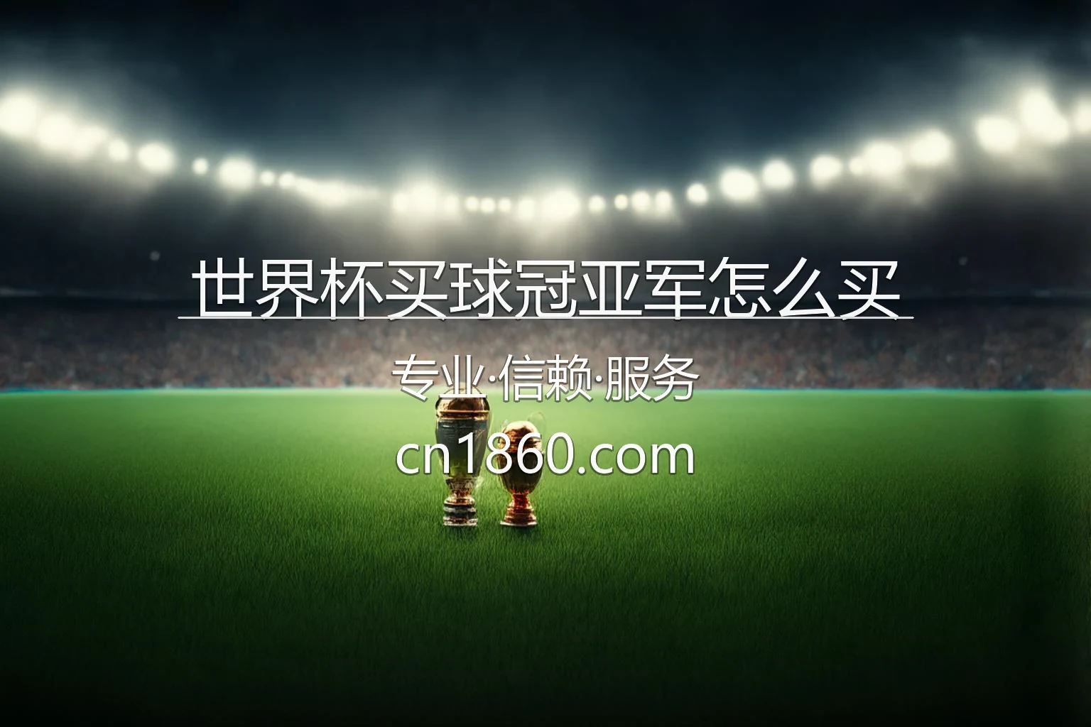 世界杯买球冠亚军怎么买官方指南